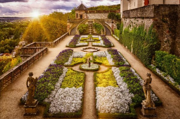 Les erreurs à éviter lors de l’entretien de votre jardin