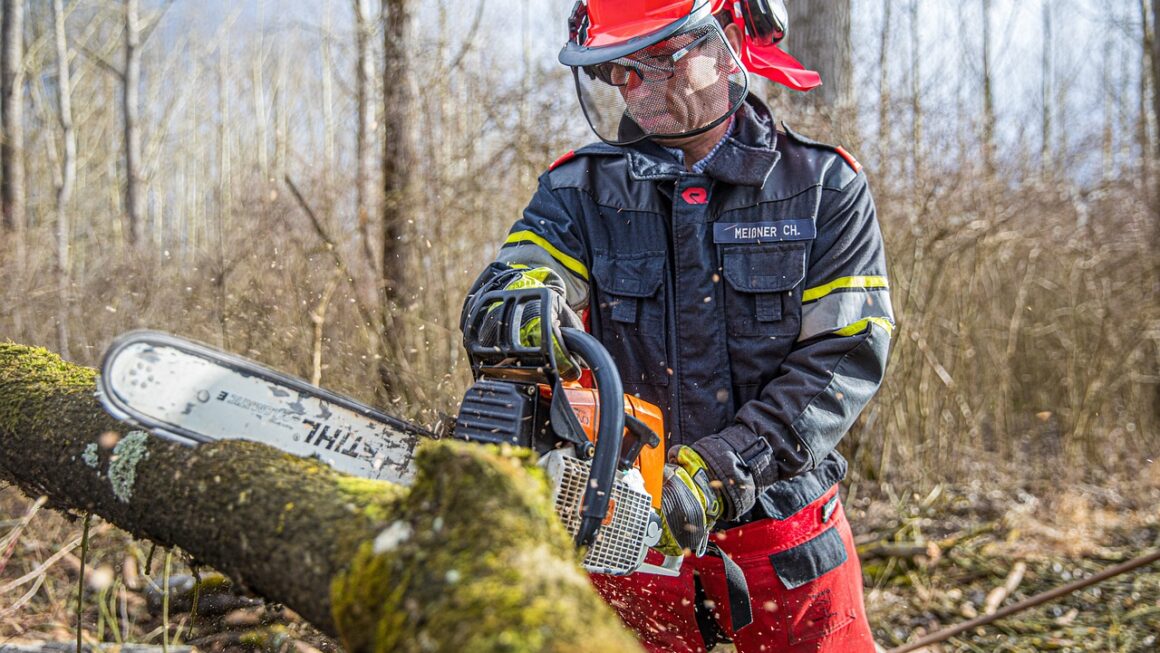 Les risques de l'abattage d'arbre sans professionnels