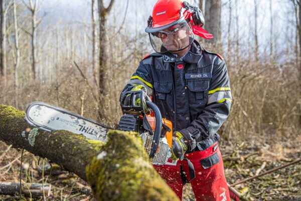 Les risques de l’abattage d’arbre sans professionnels