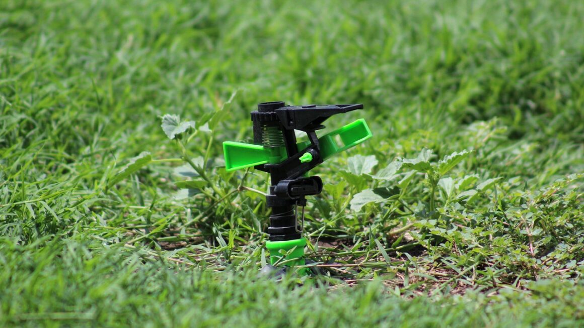 Les avantages de l'irrigation automatique dans votre jardin.