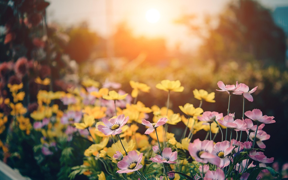 Préparer votre jardin